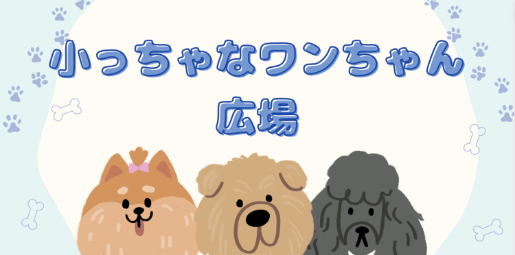 小っちゃなワンちゃん広場
